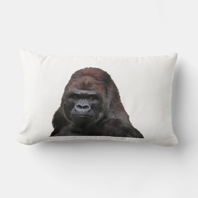 COUSSIN RECTANGLE LE SAGE (Recto)