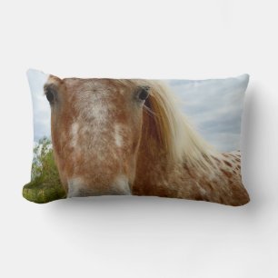 Coussin Rectangle "Le sucre : la grâce de l'Appaloosa"