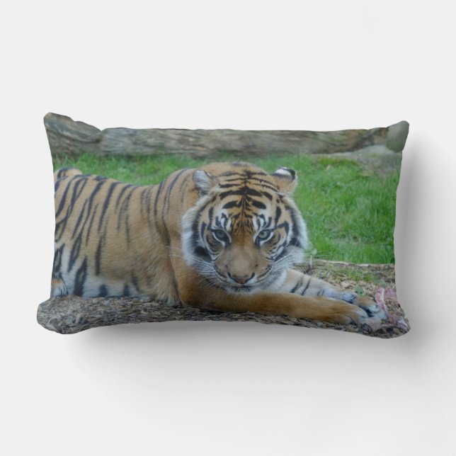Coussin Rectangle Le tigre de papa (Recto)