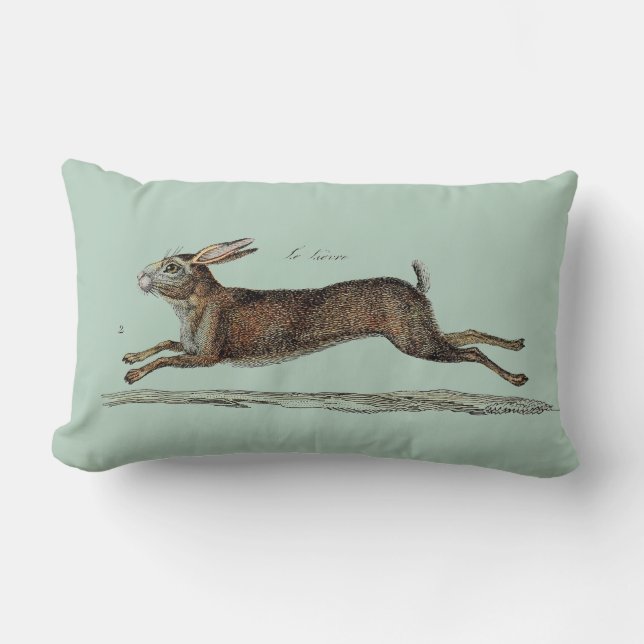 Coussin Rectangle Les lièvres de emballage chez Pâques (Recto)