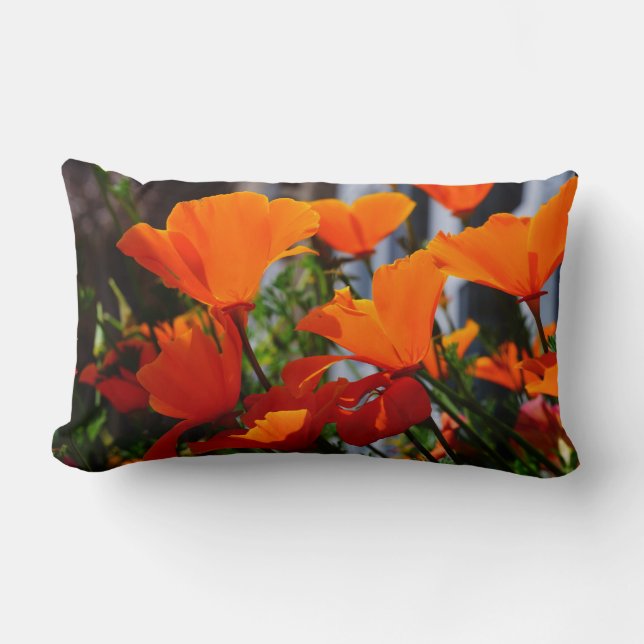 Coussin Rectangle Les Poppies ! (Recto)