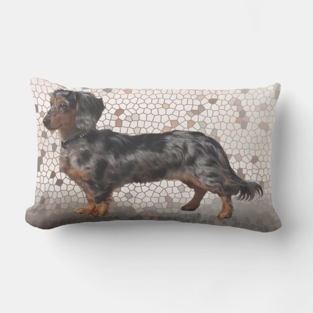 Coussin Rectangle Les teckels d'Eridox à cheveux longs tachettent le (Recto)
