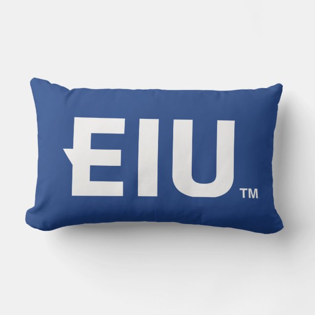 Coussin Rectangle LETTRE bloc EIU (Recto)