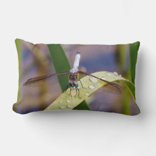 Coussin Rectangle libellule bleue et noire