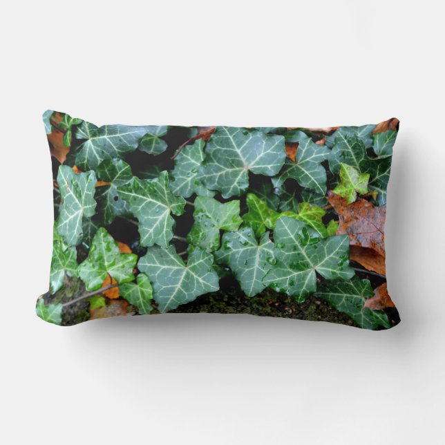 Coussin Rectangle Lierre et pierre de champ (Recto)