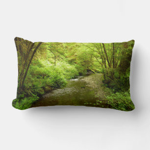 Coussin Rectangle Lost Man Creek I au parc national de Redwood