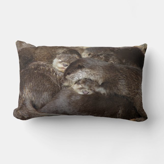 Coussin Rectangle Loutres câlines (Recto)