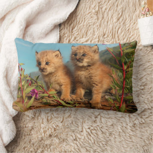 Coussin Rectangle Lynx Kittens, Canada, Alaska