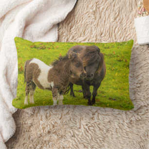 Coussin Rectangle Mère et progéniture de poney Shetland