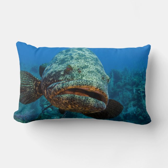 Coussin Rectangle Mérou géant de l'Atlantique (Recto)