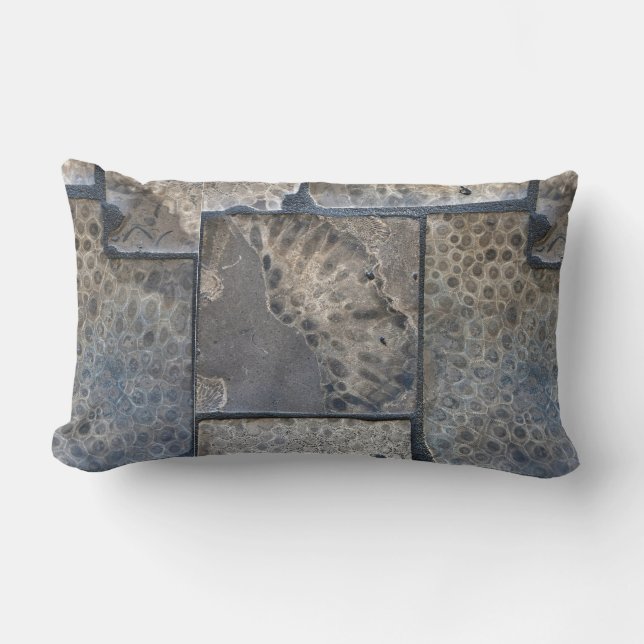 Coussin Rectangle Michigan Petoskey Stone (Recto)