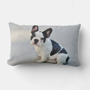 Coussin Rectangle Mignonne French Bulldog Chiot noir blanc