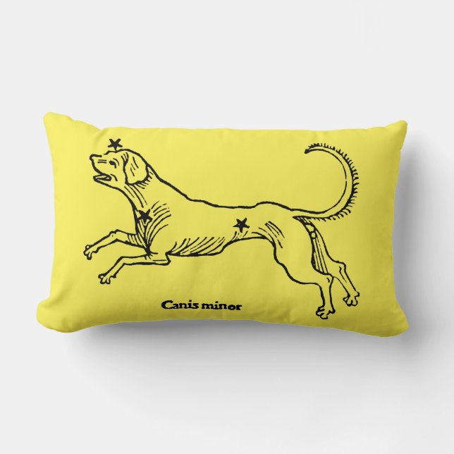 Coussin Rectangle Mineur de Canis, 1482 (Recto)