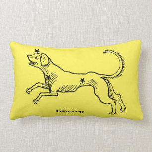 Coussin Rectangle Mineur de Canis, 1482