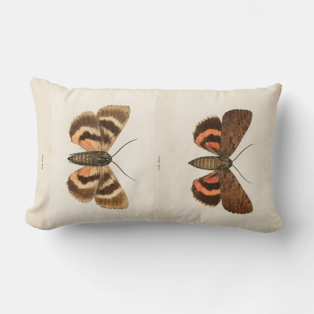 Coussin Rectangle Mois vintage (Recto)