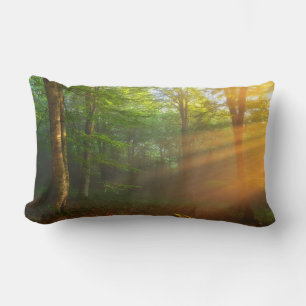 Coussin Rectangle Moment doré de lumière