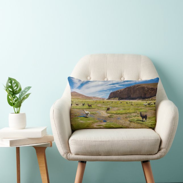 Coussin Rectangle Montagnes | Andes boliviennes (Chaise)