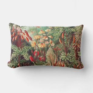 Coussin Rectangle Mousses, Muscinae Laubmoose par Ernst Haeckel