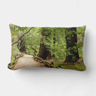 Coussin Rectangle Muir Woods Path II Nature Photography