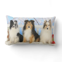 Noël de trois couleurs de Sheltie