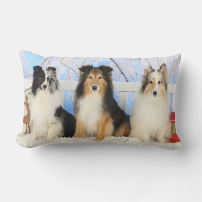 Coussin Rectangle Noël de trois couleurs de Sheltie (Recto)