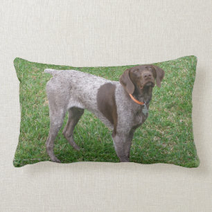 Coussin Rectangle non défini