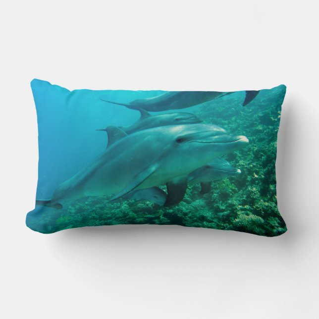 Coussin Rectangle océan marin de poissons de dauphin sous le bain de (Recto)
