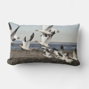 Coussin Rectangle Oies des neiges volantes