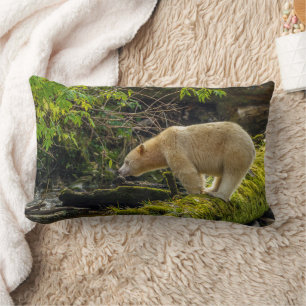 Coussin Rectangle Ours blanc esprit