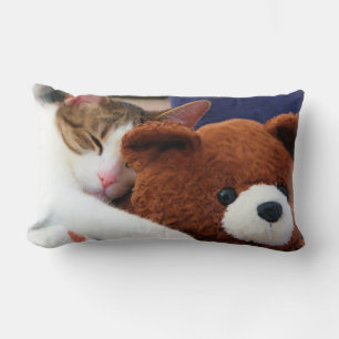 Coussin Rectangle Ours de nounours somnolent de chat