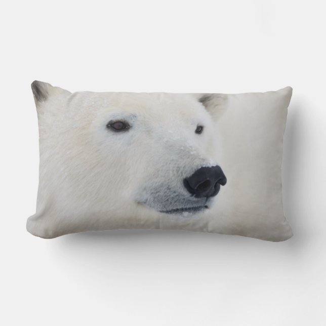 Coussin Rectangle Ours polaire Churchill (Recto)