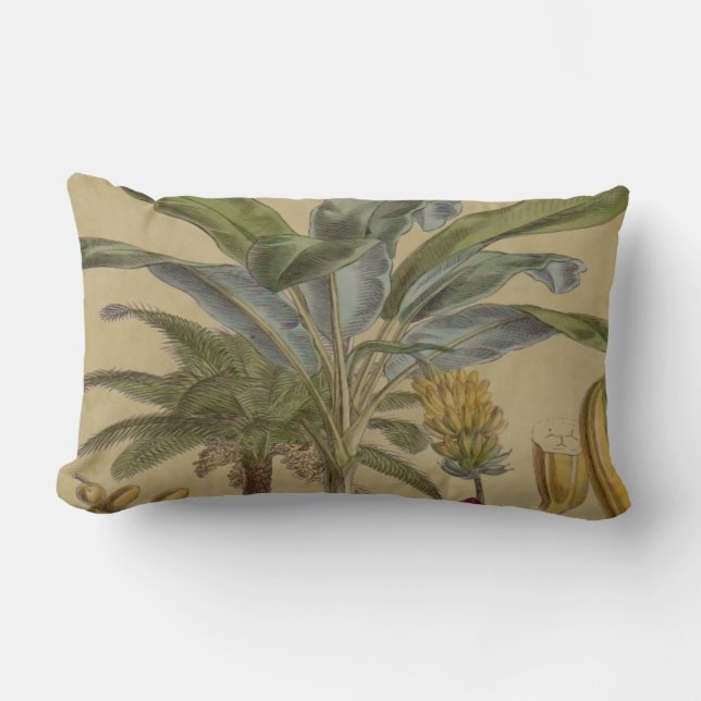 Coussin Rectangle Palm Antique Fruit Tropical Art Botanique (Recto)