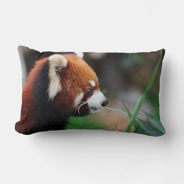 Coussin Rectangle Panda rouge (Recto)