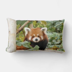 Coussin Rectangle Panda rouge