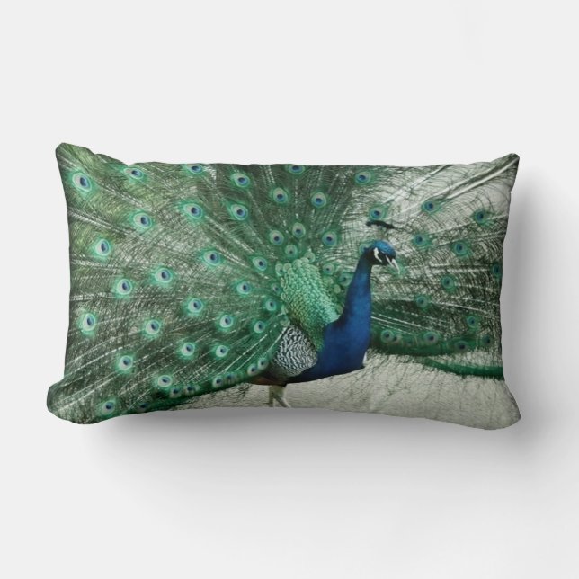 Coussin Rectangle Paon (Recto)