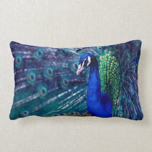 Coussin Rectangle Paon bleu