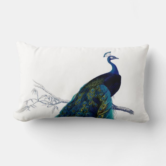 Coussin Rectangle Paon coloré élégant bleu vintage (Recto)