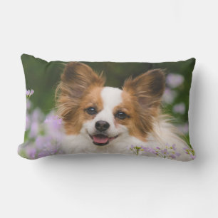 Coussin Rectangle Papillon Dog Cute Romantique Portrait Photo Extéri