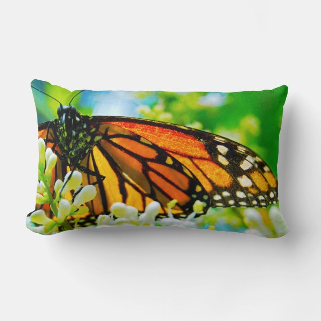 Coussin Rectangle Papillon Monarque orange Fleur blanche Photo Bold (Recto)