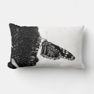 Coussin Rectangle papillon timide blacq