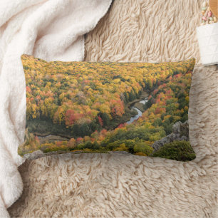 Coussin Rectangle Parc d'état sauvage des monts Porcupine