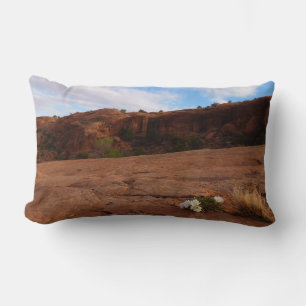 Coussin Rectangle Paysage d'Arches Slickrock et d'Oenothère