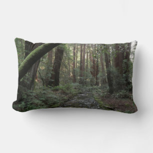 Coussin Rectangle Paysage de la forêt de Muir Woods Stream