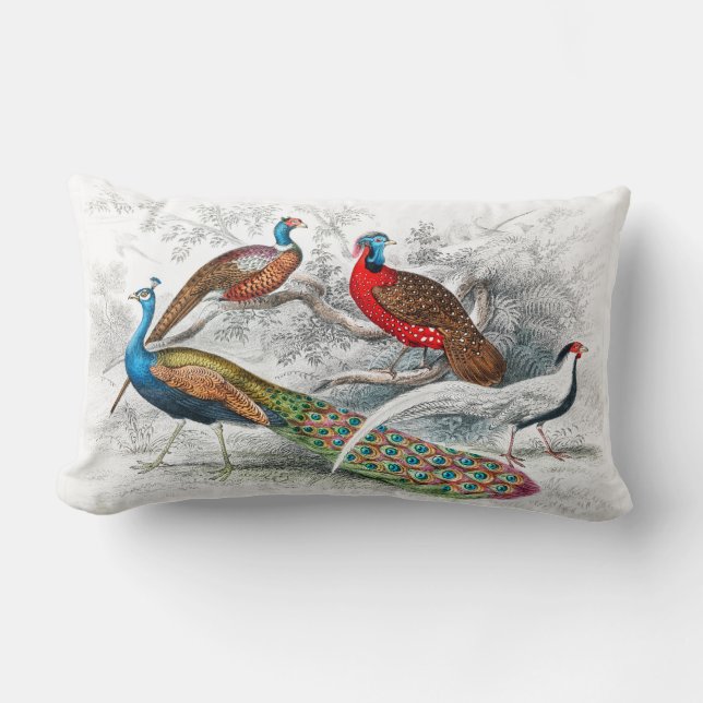 Coussin Rectangle Peacock et faisants - Oliver Goldsmith - (Recto)