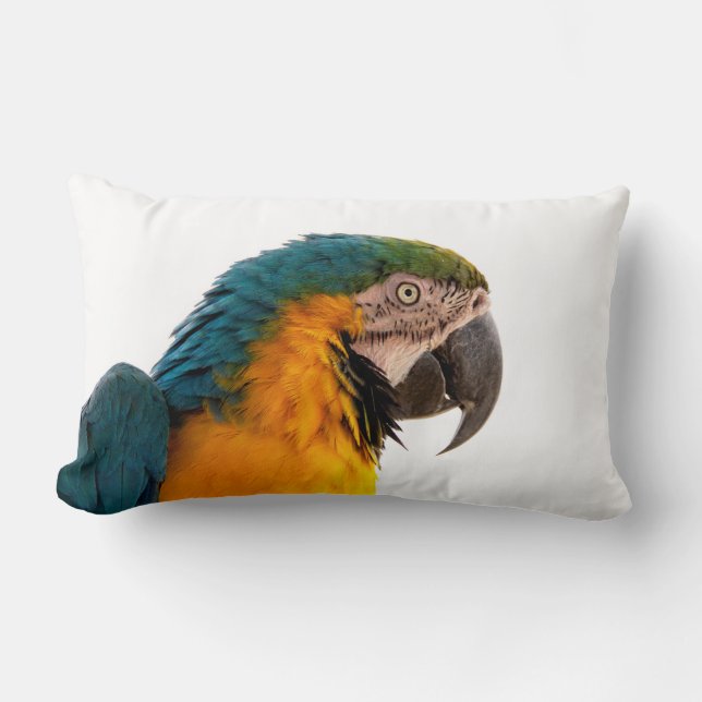 Coussin Rectangle Perroquet (Recto)
