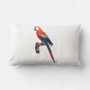 Coussin Rectangle Perroquet vintage - Oiseaux Vieux art illustratif