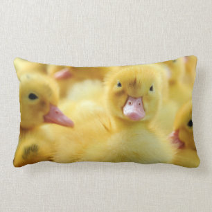 Coussin Rectangle Petits canards