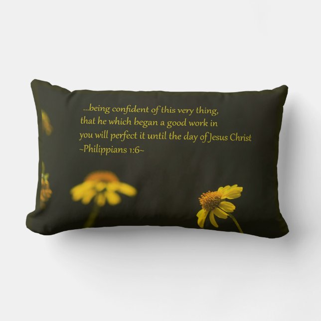 Coussin Rectangle Philippiens 1:6 (Recto)