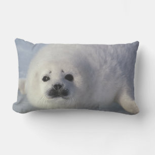 Coussin Rectangle Phoque du Groenland (Phoca groenlandica) Un phoque