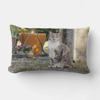 Coussin Rectangle Photo cat, animaux . jeter l'oreiller